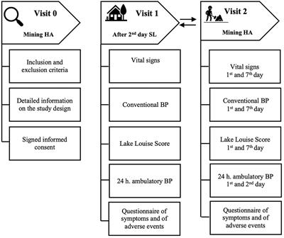 Blood Pressure Response in Miners Exposed to Chronic Intermittent Hypoxia in Chile